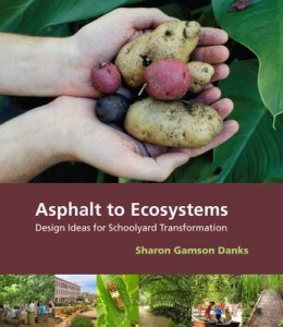 Asphalt to Ecosystems: Design Ideas for Schoolyard Transformation